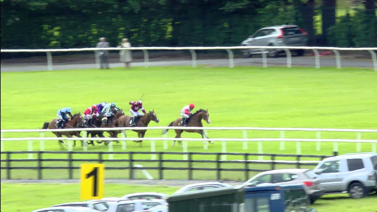 Galway Races - 30th July 2015