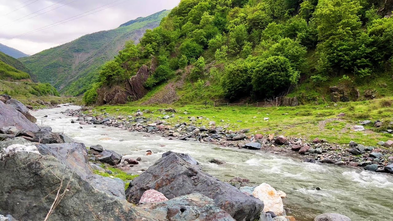 River Sound with Birds 🌿 Relaxing Nature Sounds for Sleep, Study & Meditation | 1 Hour