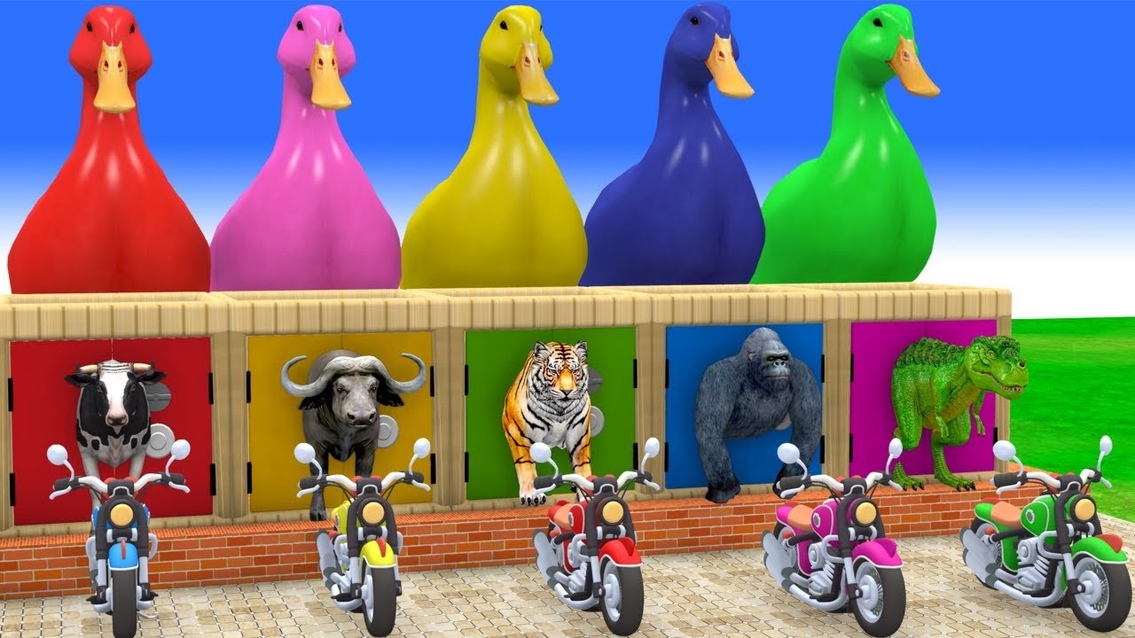 Long Slide Game With Cow Elephant Gorilla Hippopotamus Tiger 3d Animal Game Funny 3d AnimalsVideo