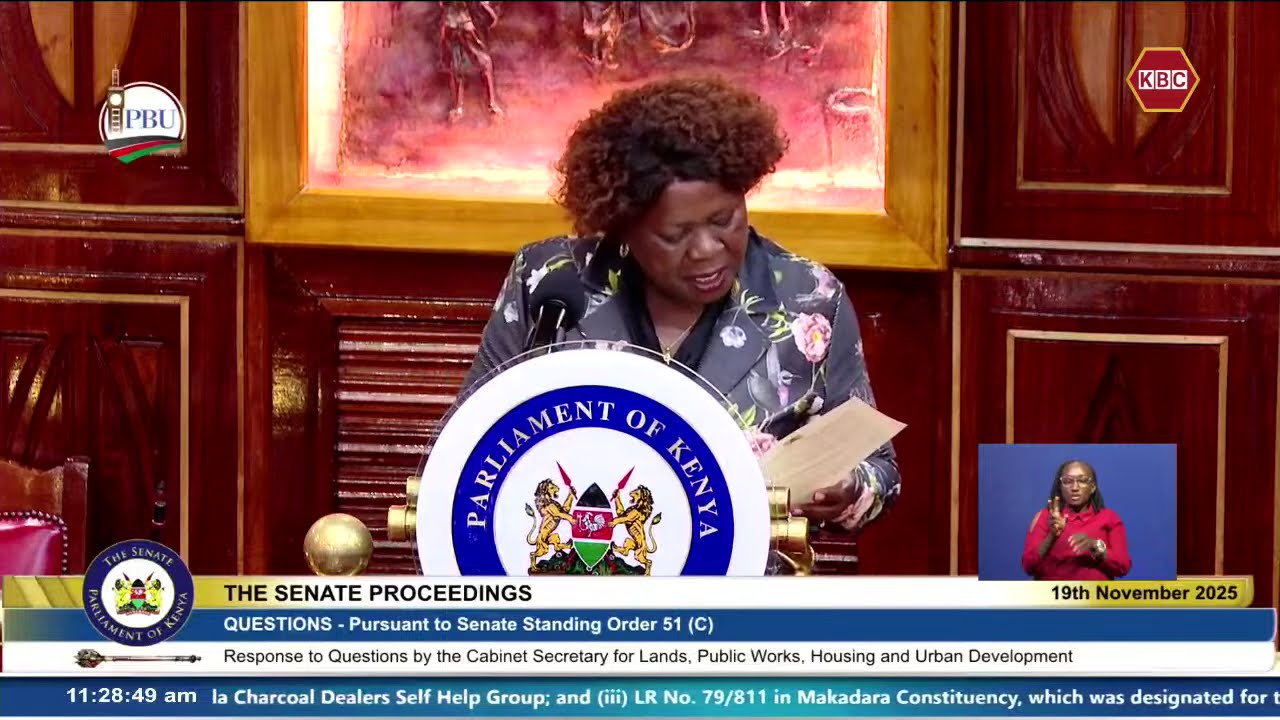 Lands CS Alice Wahome Appears Before The Senate
