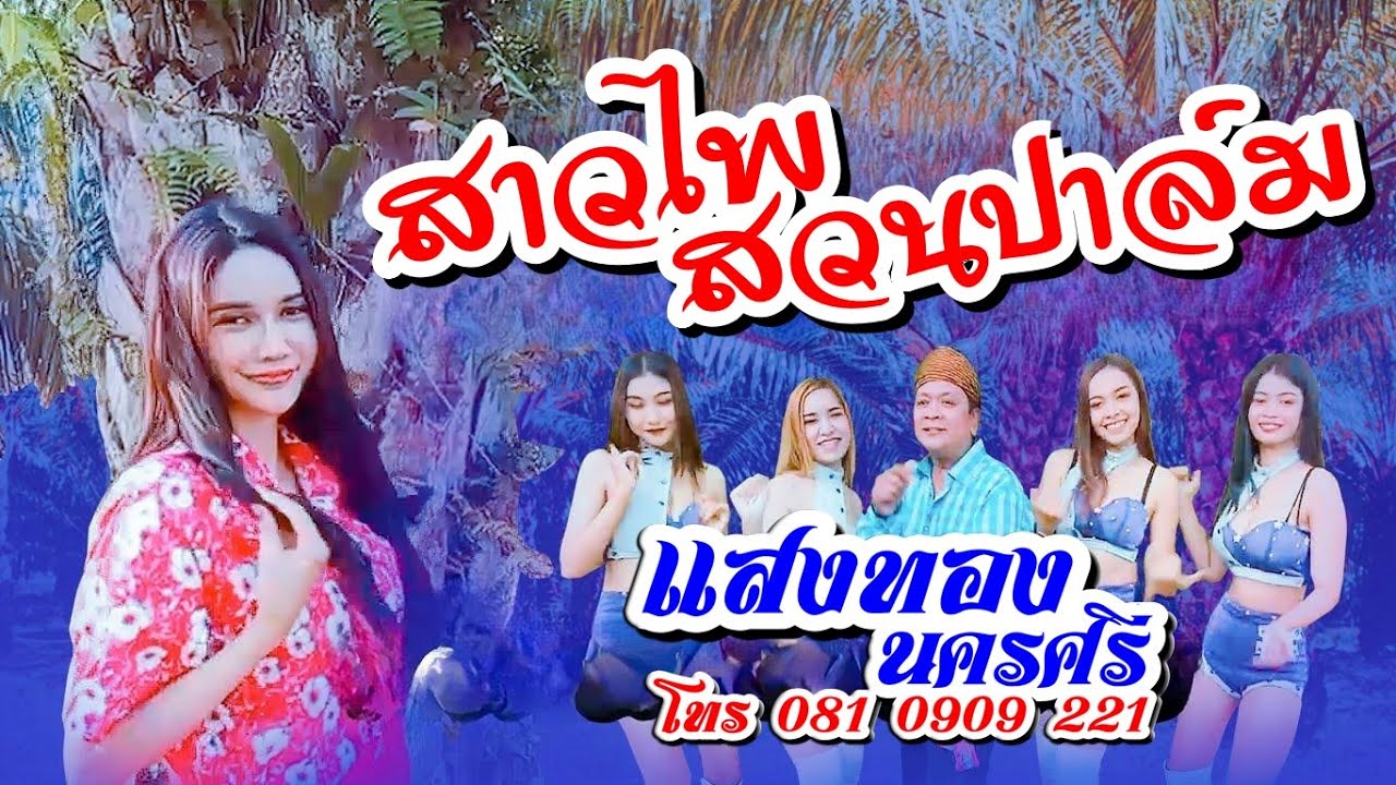 สาวไพ สวนปาล์ม  - แสงทอง นครศรี
