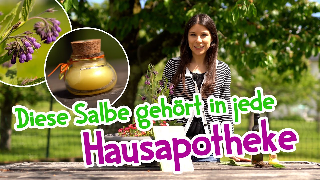 Nie wieder Schmerzen? 🌟 Beinwell Salbe Wirkung & Anwendung 🌿 #wildkräuter #garten #heilpflanzen