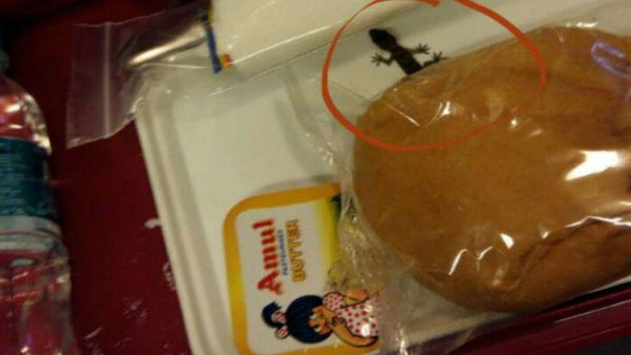 Air India: Lizard found in food