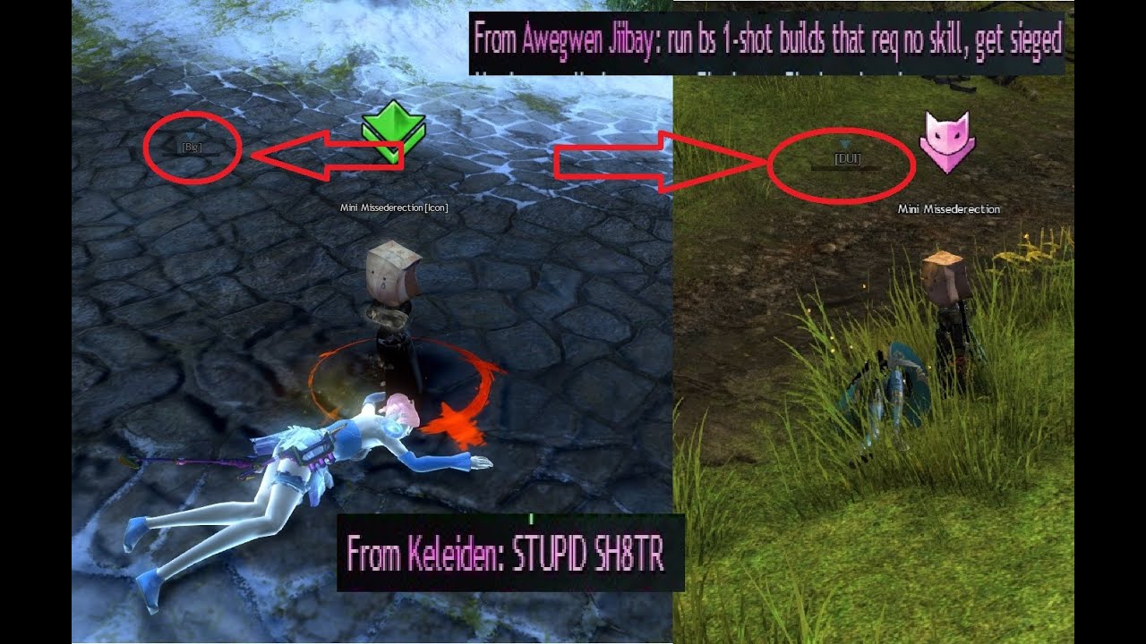 Thief (Stealth) is BROKEN in WvW!! And Here's How...