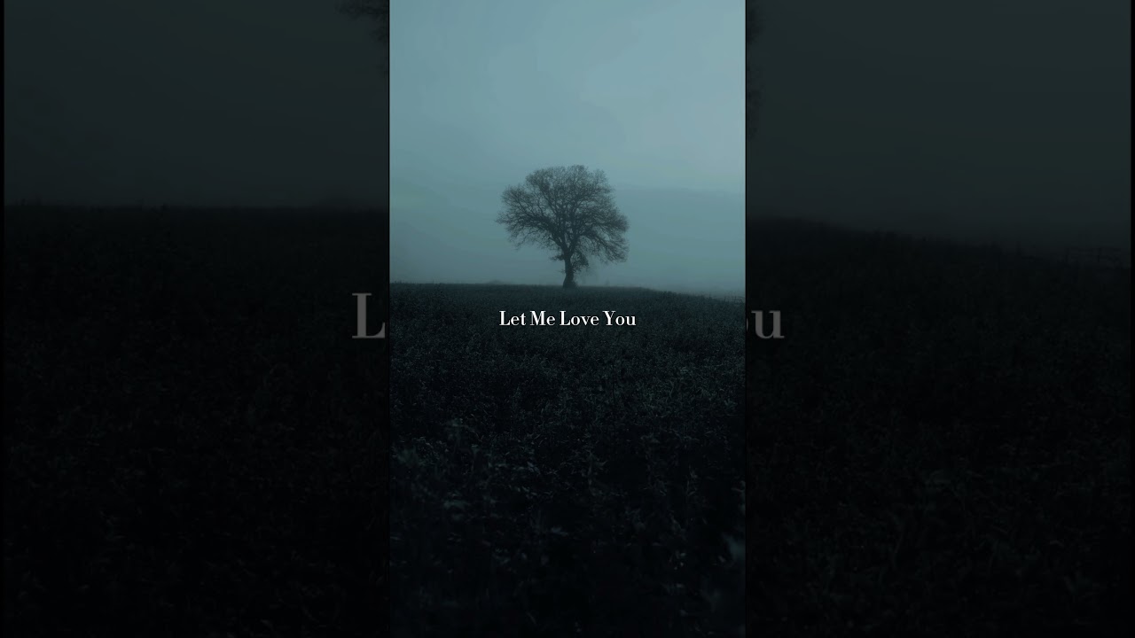 Let Me Love You - DJ Snake  ft. Justin Bieber - lyrics video 