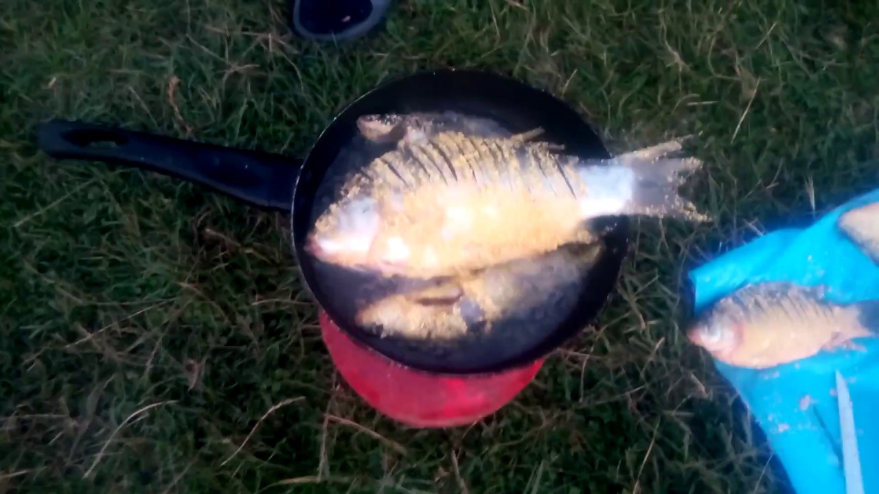 Pescari pe LACUL BOTENI 1 la pescuitul de noapte