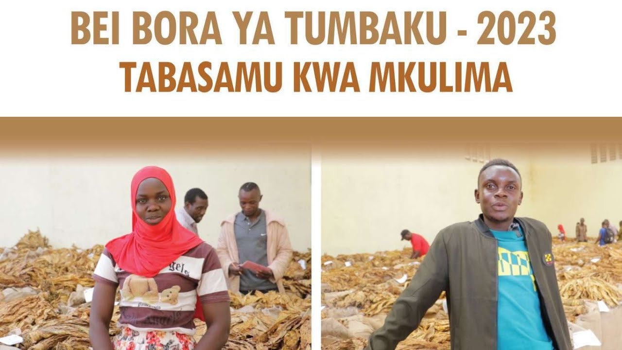 MAMBO SHWARI - SOKO LA TUMBAKU TABORA, WANUNUZI WAWAFUTA JASHO WAKULIMA KWA DOLA