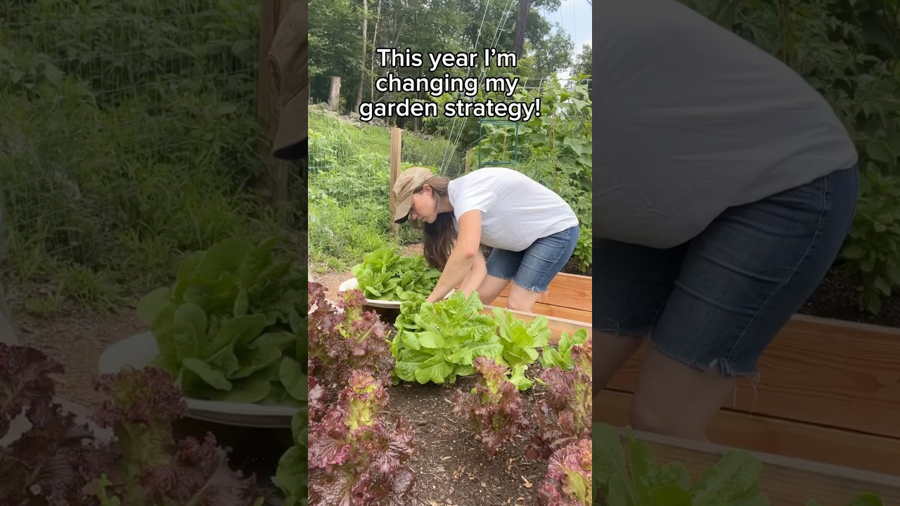 Grow what you eat! #garden #gardener #gardeningtips #gardeningideas #howtogarden #gardeningvideos