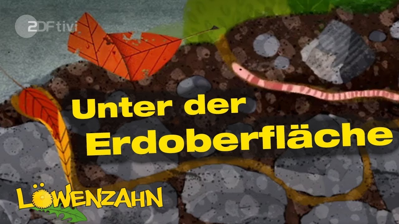Unter der Erdoberfl&auml;che - L&ouml;wenzahn - ZDFtivi