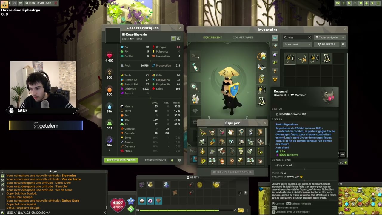 Dofus 3 - je joue MA SRAM 200 !