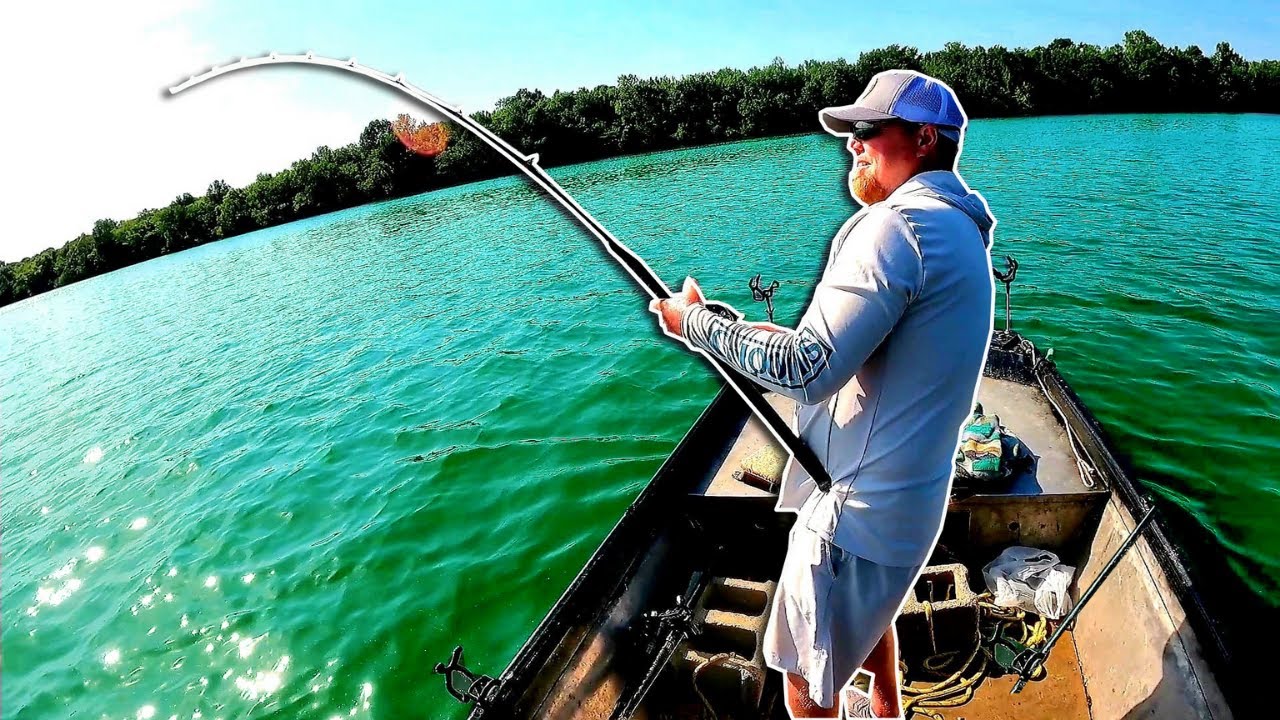 NONSTOP Rod Slamming Action from HUGE Catfish!