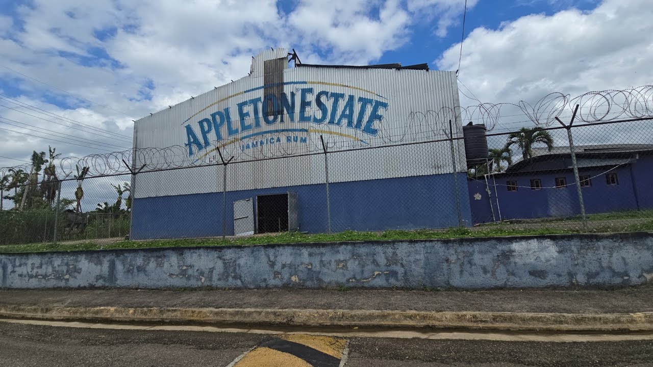 JOURNEY TO APPLETON ESTATE/RUM TOUR  🇯🇲 ##jamaica #tour #tourist 