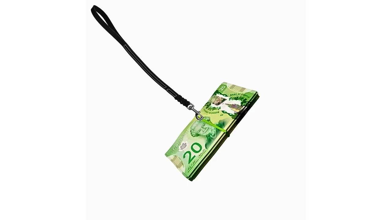 money leash