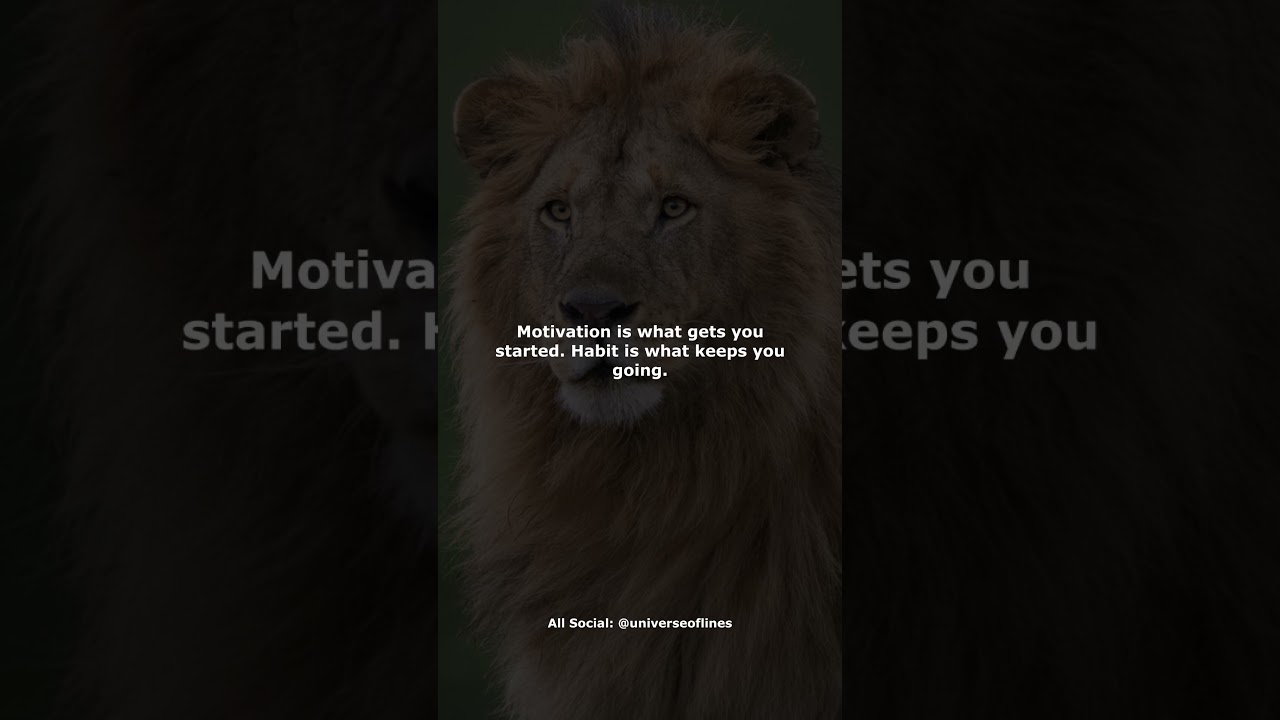 Motive Quotes. 