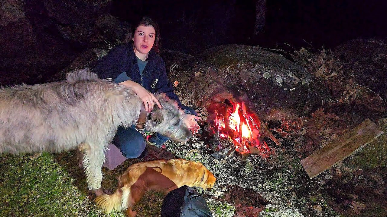 Me cae la noche a campo, os cuento lo que he visto en un supermercado