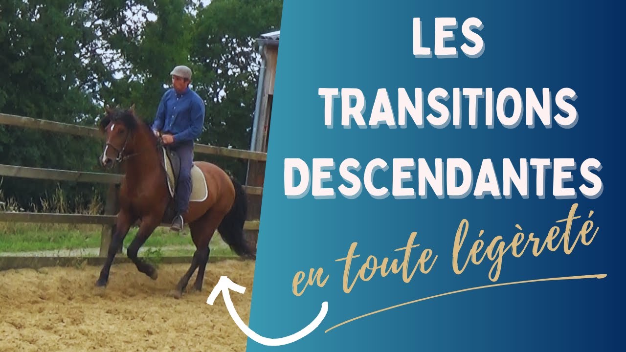 ⭐ Les transitions descendantes du cheval ⭐