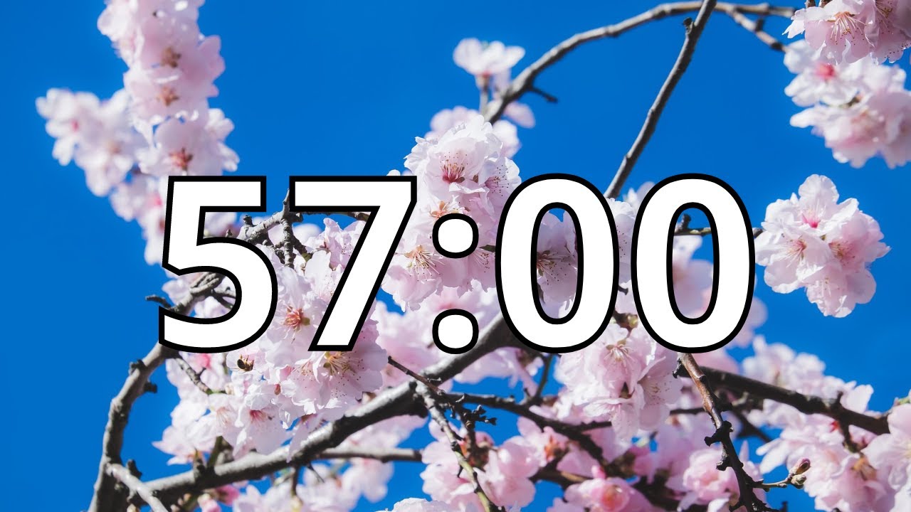 57 Minutes Timer with Music | Cherry Blossom Timer