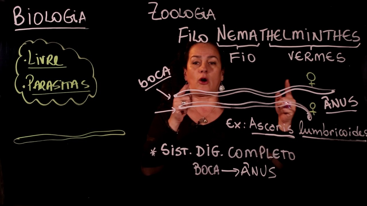 Aula 53 REINO ANIMAL Filo Nematelmintos parte 1 - Aulas ENEM