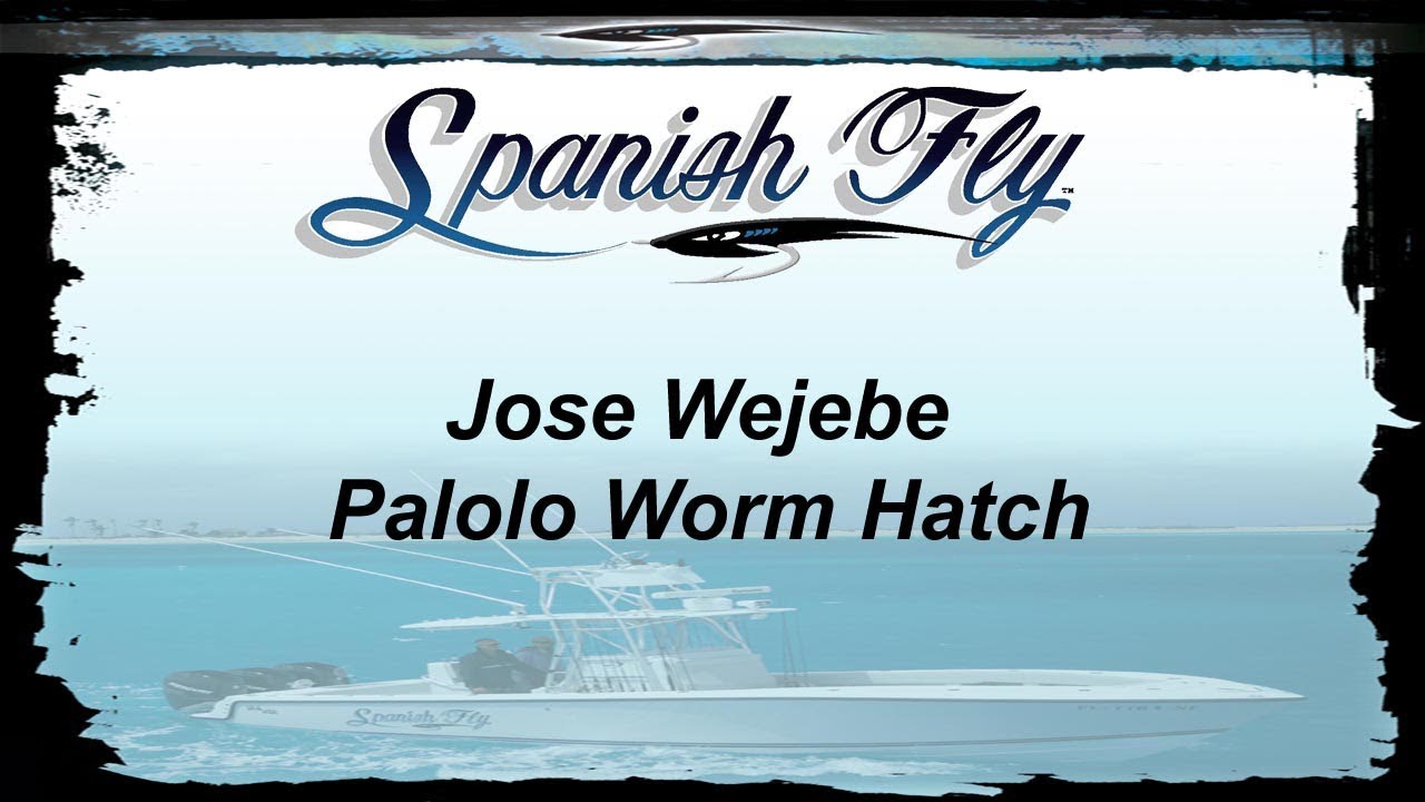 Key West Tarpon Palolo Worm Hatch - Jose Wejebe / Spanish Fly TV