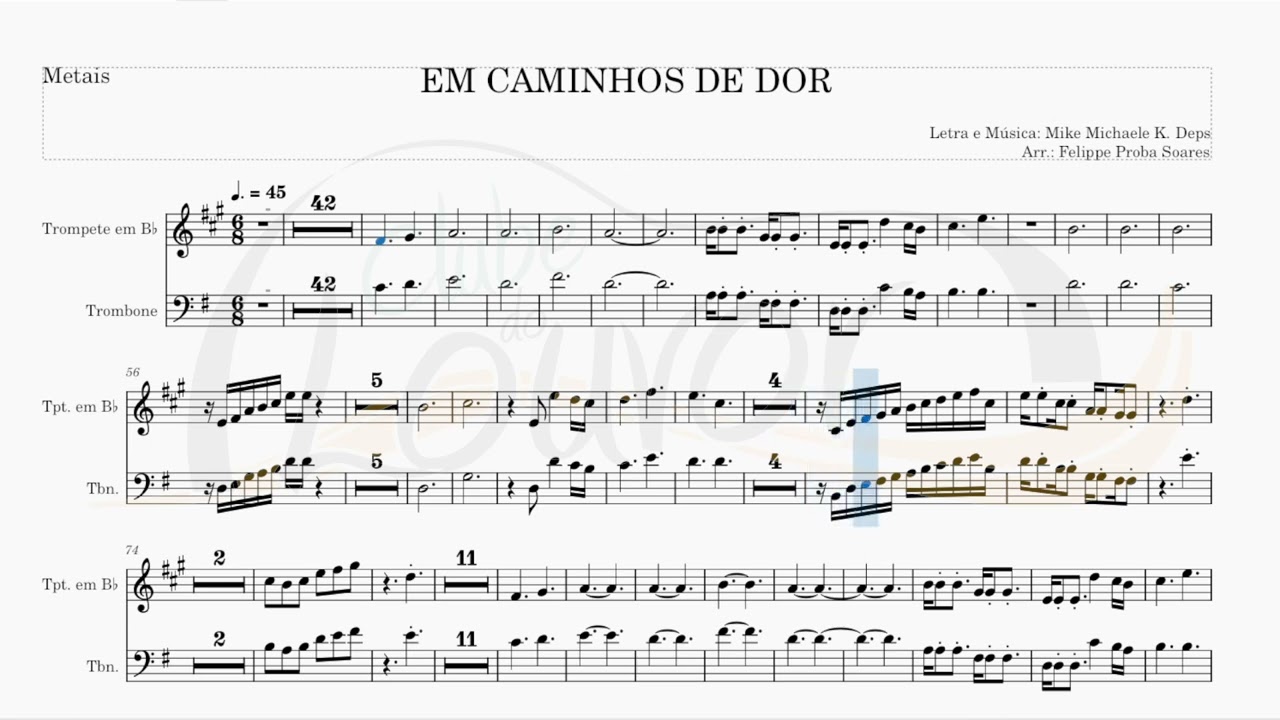 EM CAMINHOS DE DOR (ICM) - METAIS