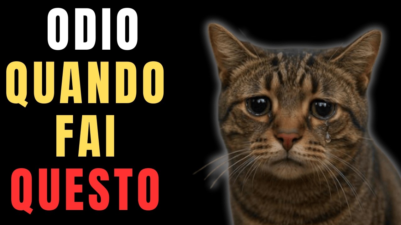 Lo Fai Anche Tu? 10 Cose Quotidiane che Fanno Male al Tuo Gatto