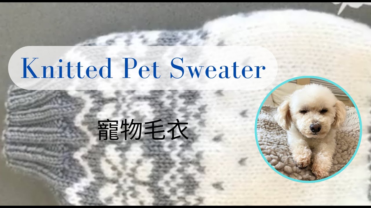 Knitted Pet Sweater寵物毛衣編織