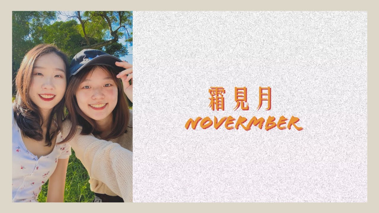 霜月Vlog.13｜某日的大浪灣避世🌳｜下世要做隻高冷的貓｜有個八十年代大叔｜韓麗珠選讀與座談｜十一月碎片🎬✨