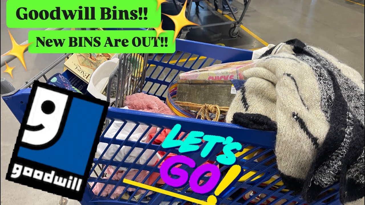 Let’s Go To Goodwill BINS! New Bins Out! Breakable Bins! Let’s Treasure Hunt! +HAUL +XTRA Goodwill