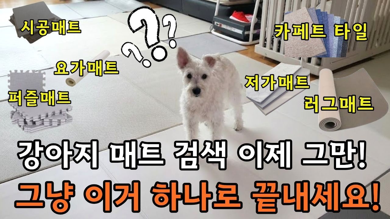 강아지 매트 100만원 태우고 찾은 슬개골 탈구 매트, 디팡 최저가 이벤트(3년 만에 돌아온 디팡매트 슬개골 탈구 예방 추천)