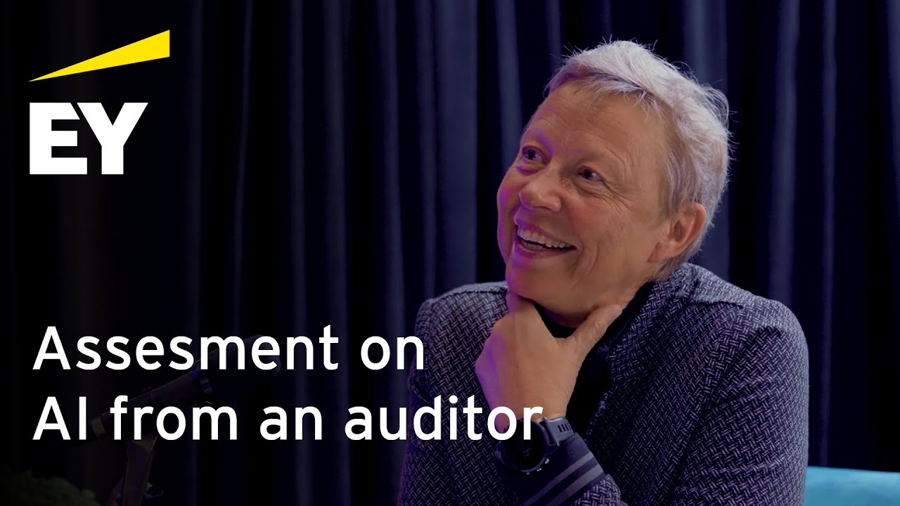 Should We Be Scared of AI? Assessment on AI from an auditor
