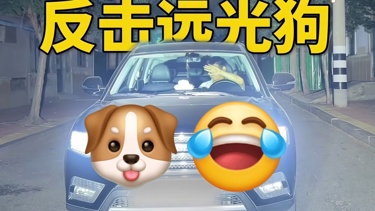 用魔法打败魔法💢反击远光狗，真理在大灯的射程之内！