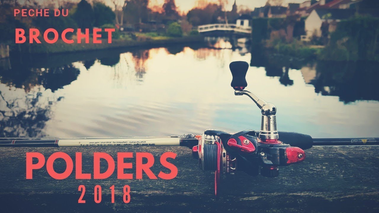 PREMIERS BROCHETS DE 2018 - Polders hollandais