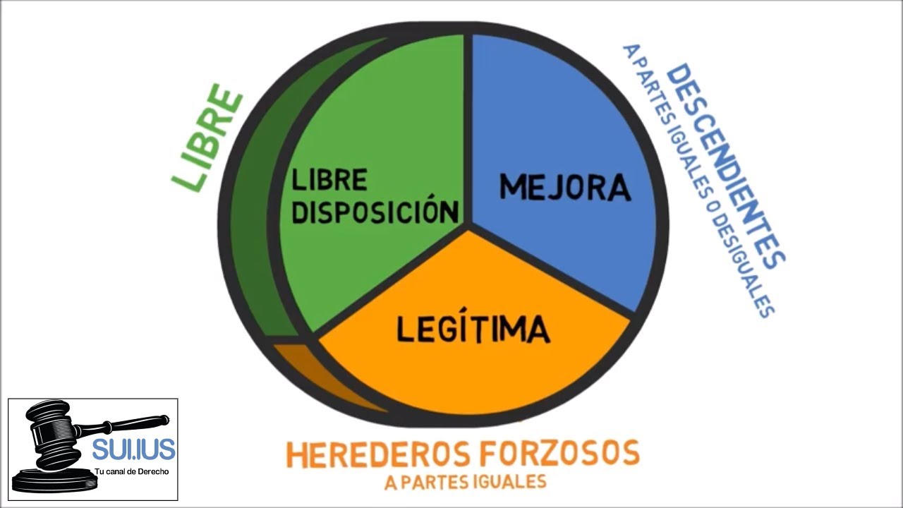 DESHEREDAR A UN HIJO EN 2022: ¿ES POSIBLE?