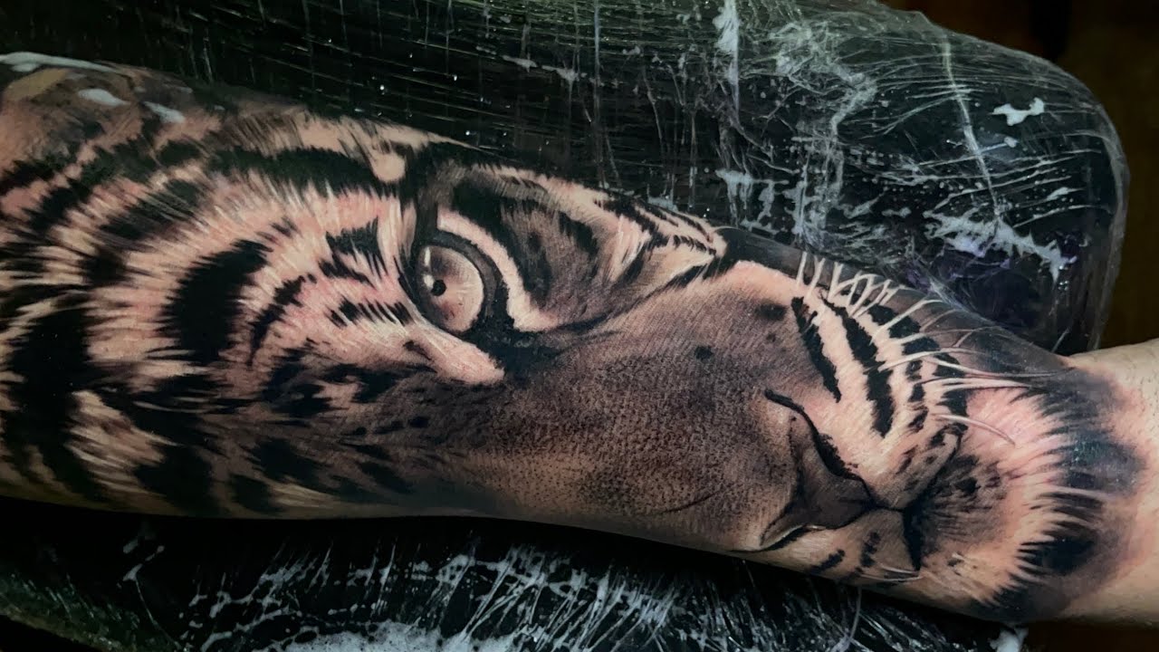 TATUAGEM TIGRE REALISTA - TATUANDO EM TEMPO REAL #8 - LOCKINK