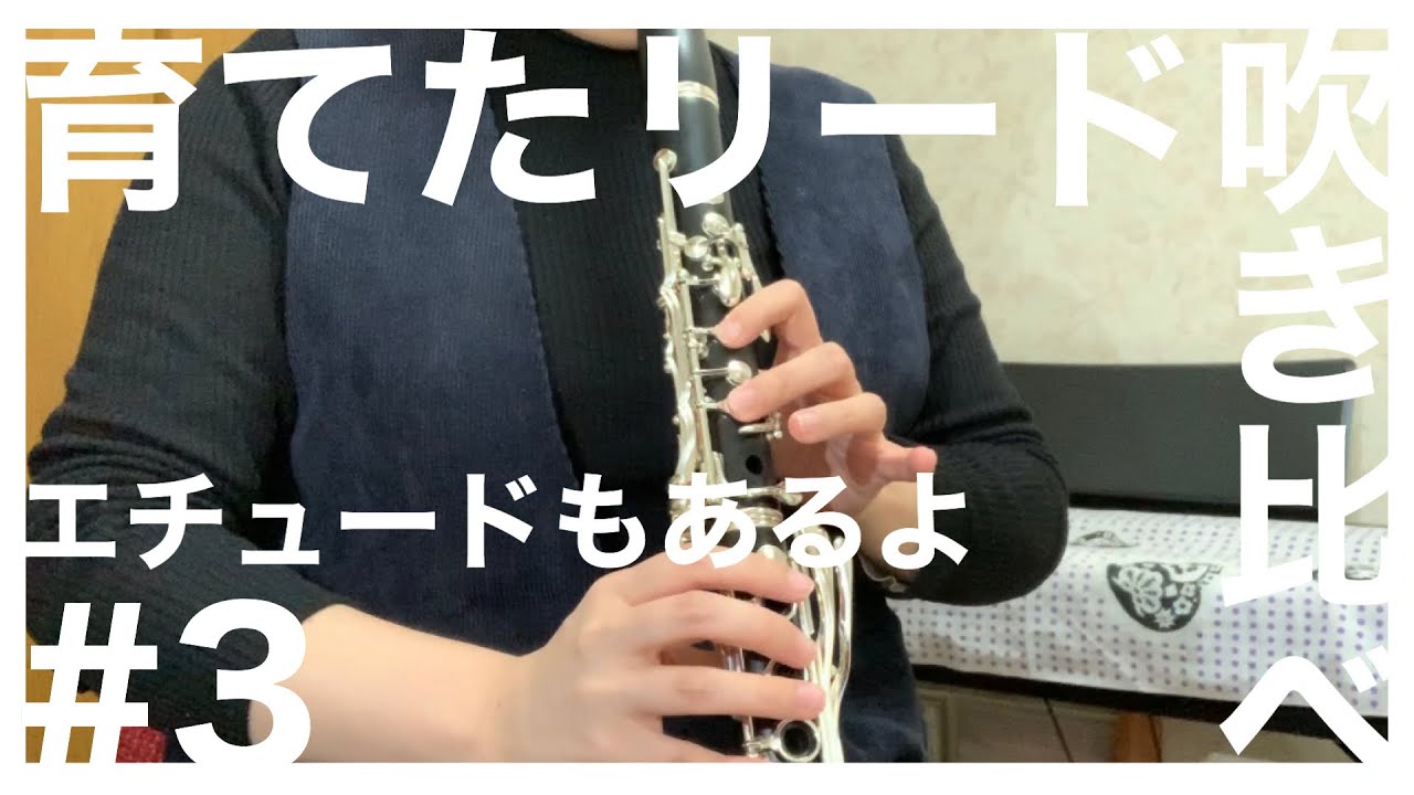 【クラリネット】リードの育て方 ＃３