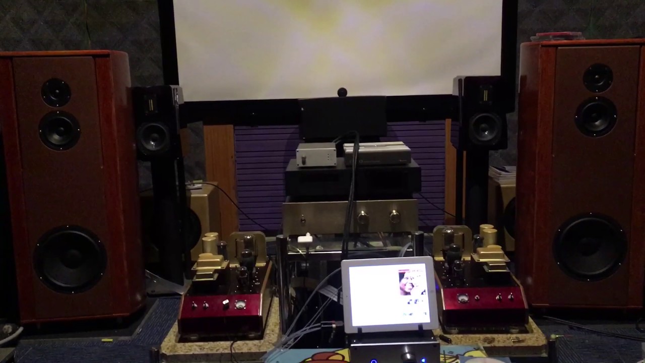 Gainclone LM3875 amp + FaTBoY speaker