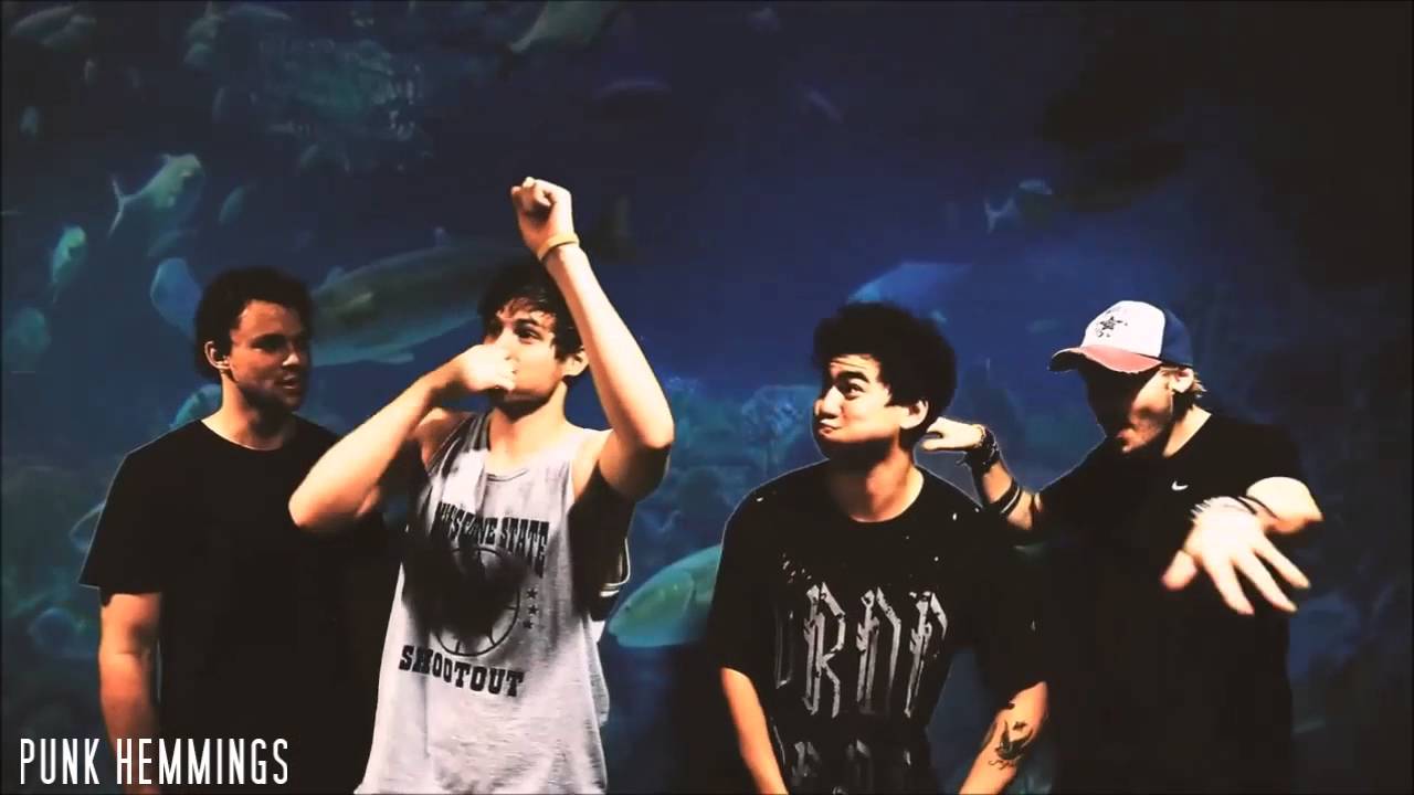 5SOS Funny Moments // 2016 Part 4