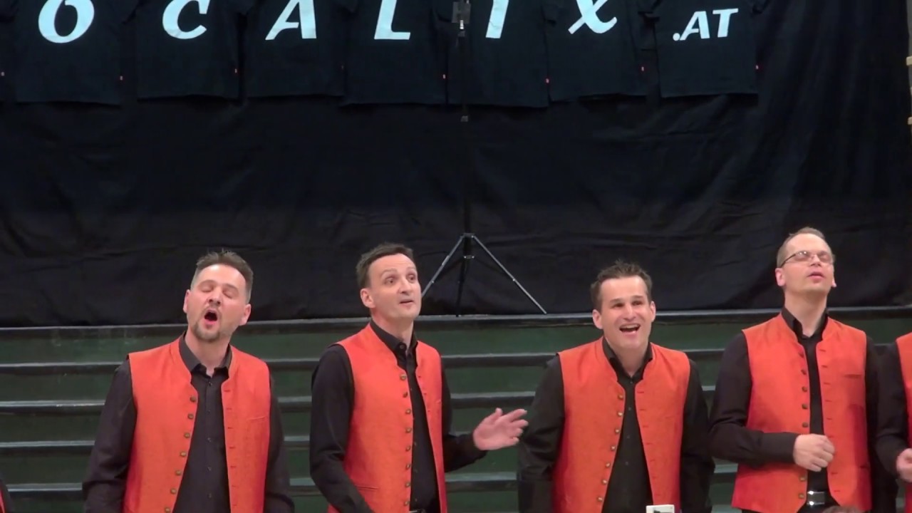 VocaliX  