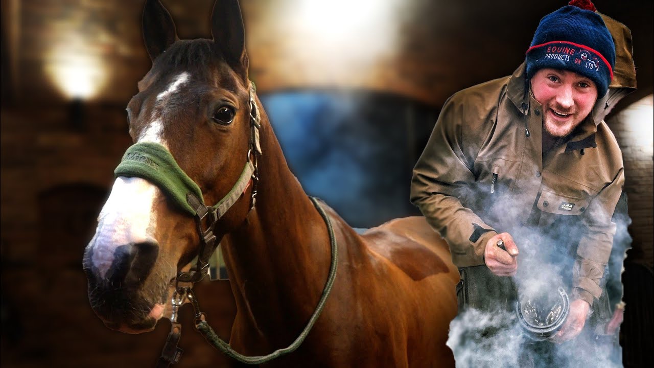 LIFE AS DANNY THE FARRIER! Looking at a horse with a problem!