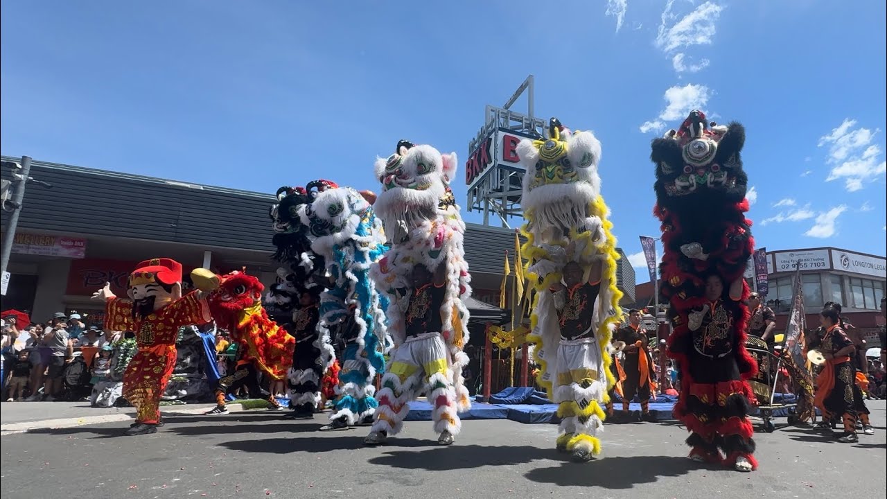 Lion Dance Cabramatta | AUS Jing Yee Lion Dance | Đoàn Lân Sư Rồng Tinh Nghĩa | 澳洲精義醒獅團