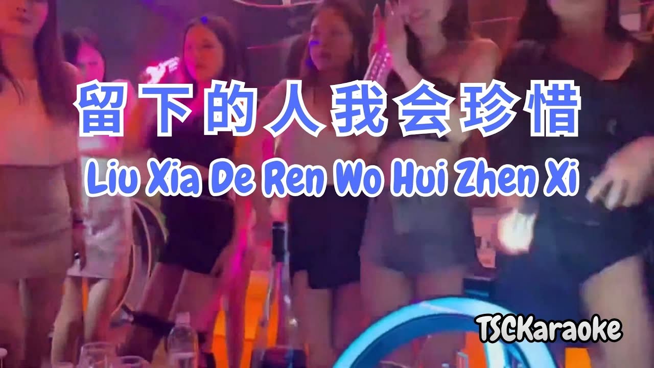 Liu Xia De Ren Wo Hui Zhen Xi (Dj Remix Male) - 留下的人我会珍惜 - 刘书云