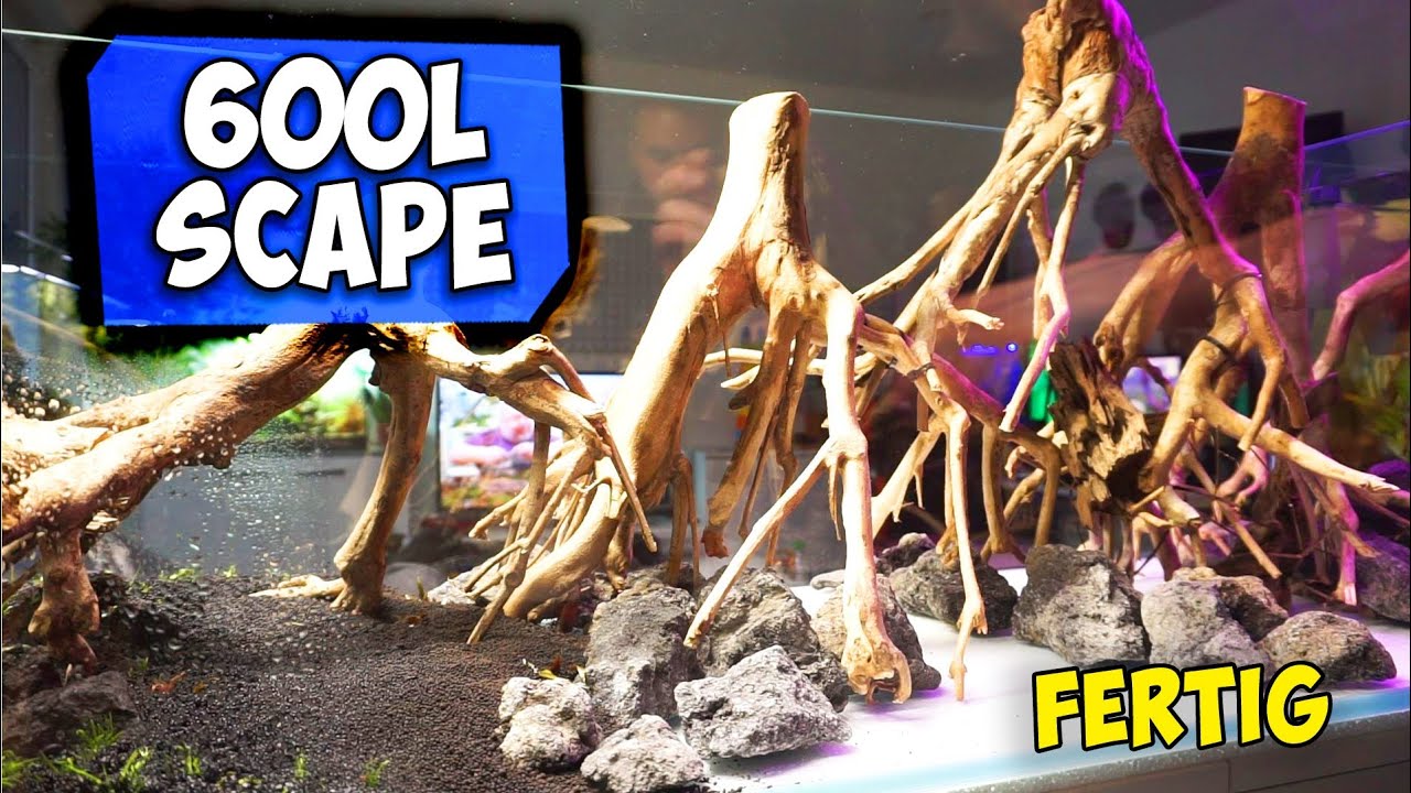 AQUARIUM EINRICHTEN, 600L SCAPE | JEDEN SCHRITT ERKLÄRT | Aqua Update