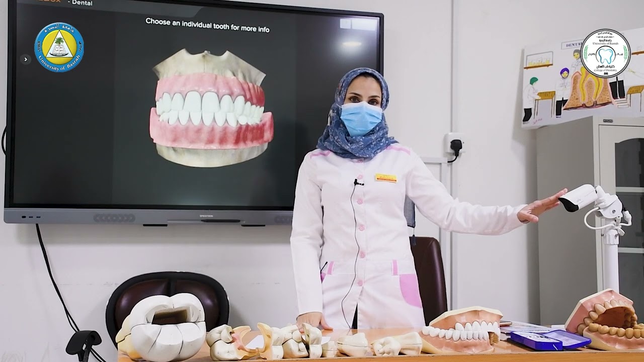 كلية طب الاسنان / جامعة البصرة (مختبر تشريح الاسنان)