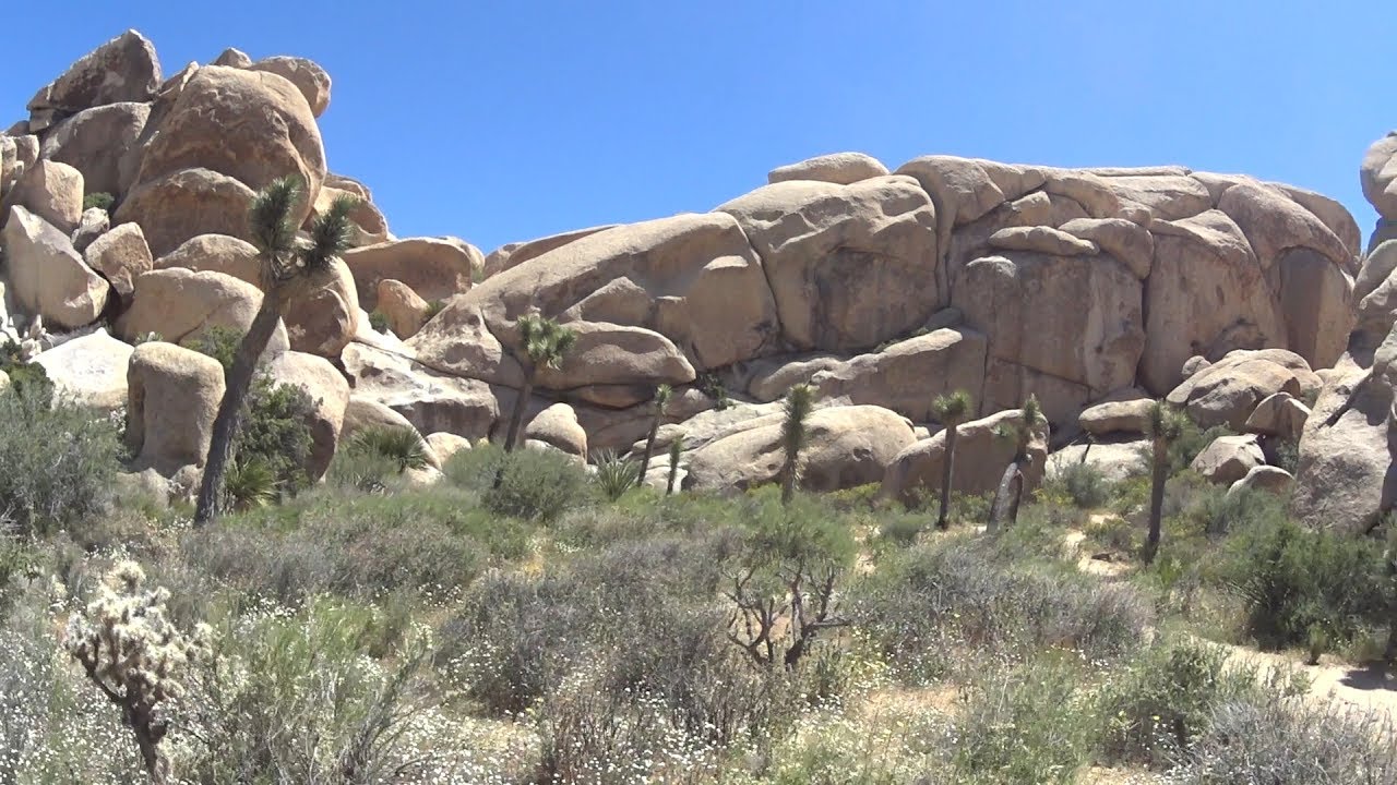 Exploring Joshua Tree's Hall Of Horrors