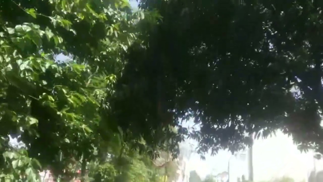Samacgar
