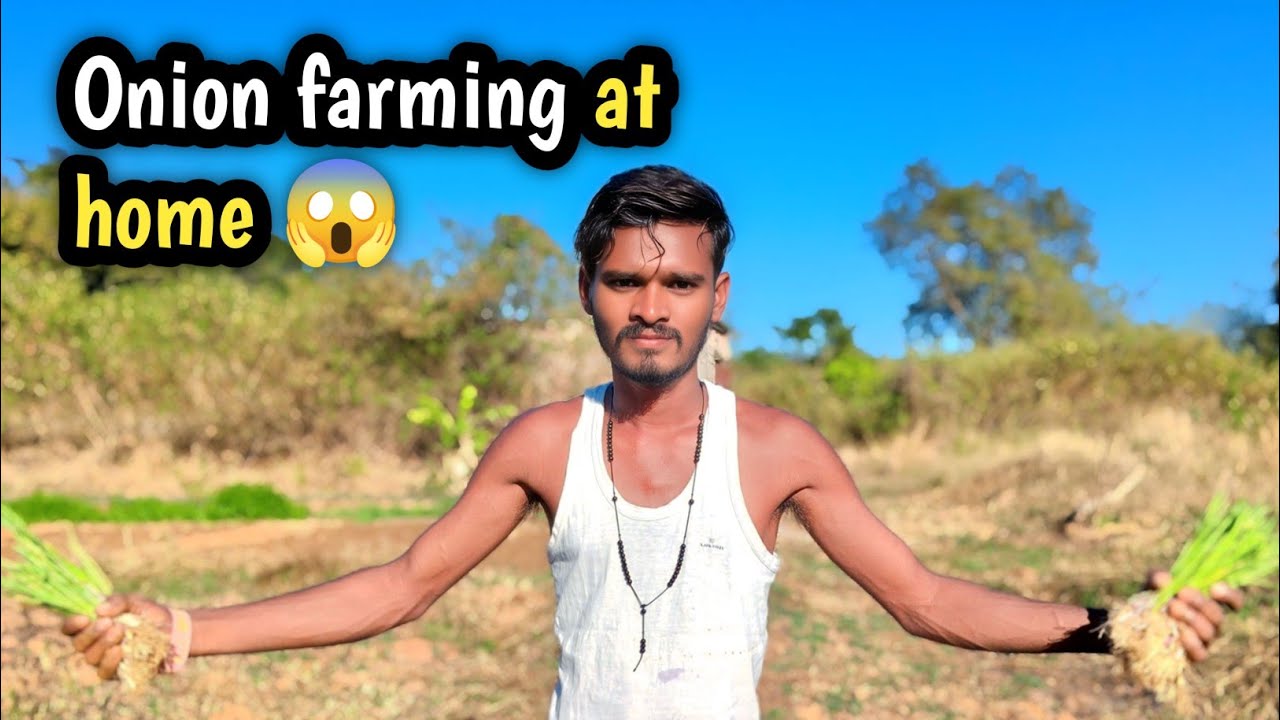 घर पर प्याज कैसे उगाएं  | Onion Farming at Home Complete Guide 