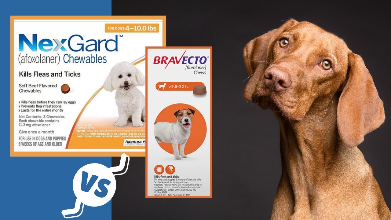 Nexgard vs Bravecto