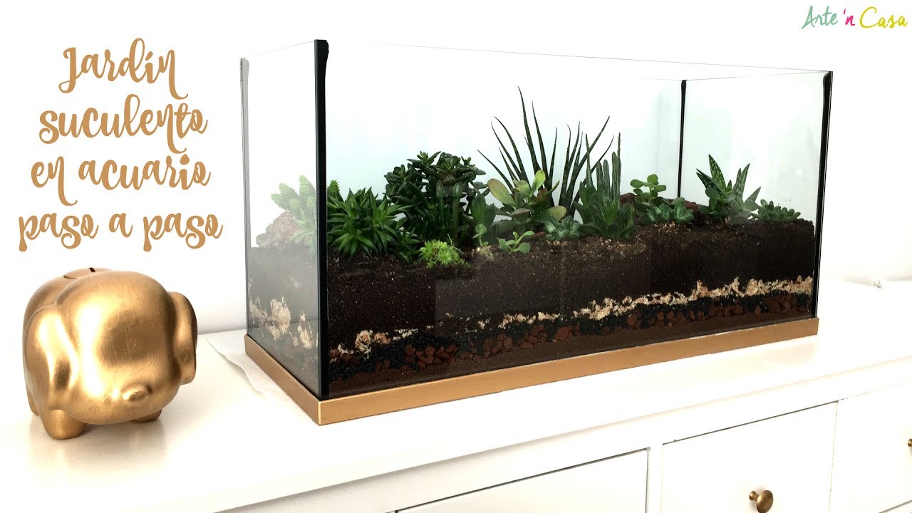 Reciclar acuario con plantas suculentas