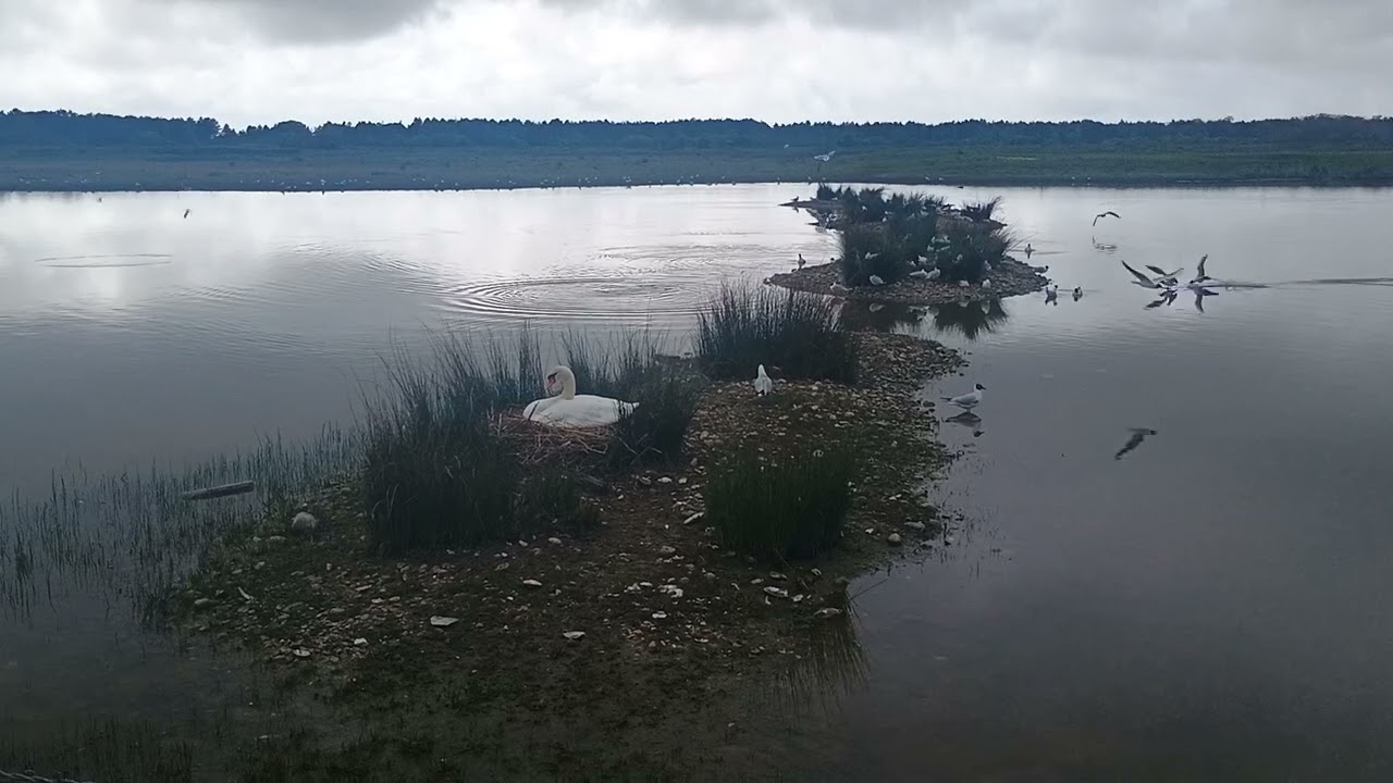 France, le Crotoy 23/04/25