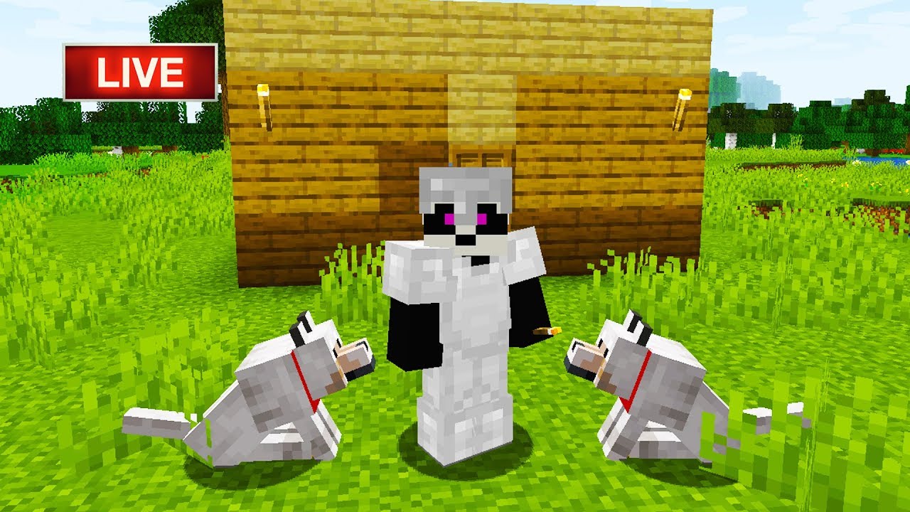 [LIVE] MERGEM LA MINAT DE DIAMANTE | MINECRAFT